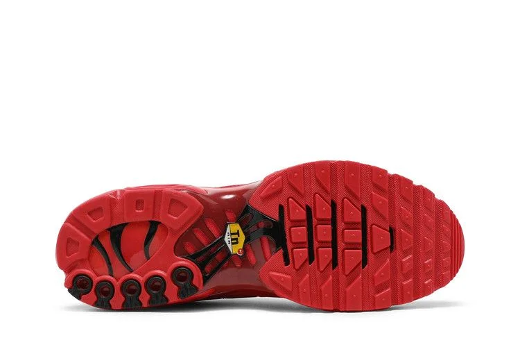 Кроссовки Nike Air Max Plus 'University Red'