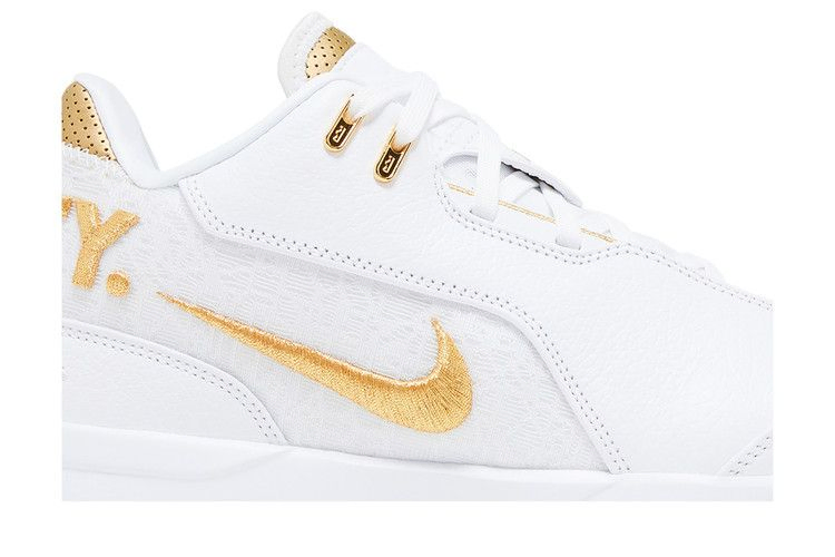 Кроссовки Nike Zoom LeBron NXXT Gen AMPD 'Equity'