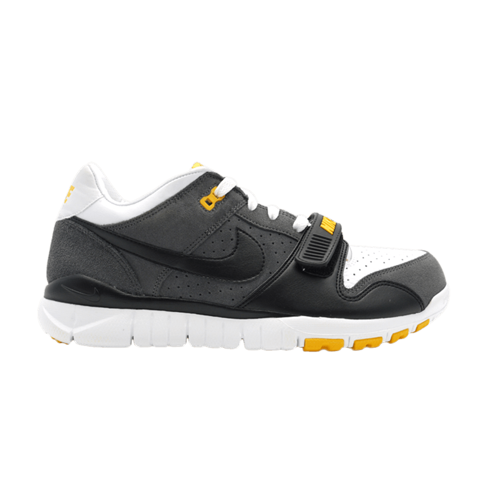 trainer-dunk-low-usa-laf-livestrong-371553-101