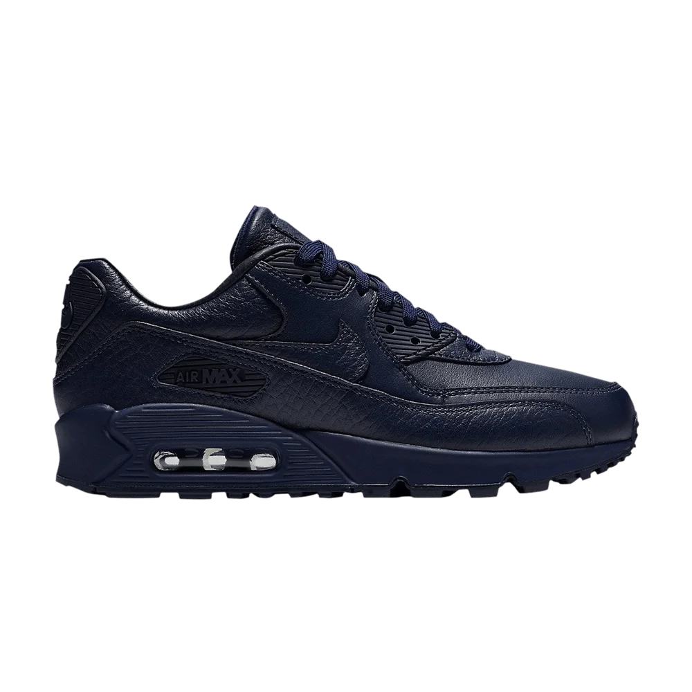 Krossovki-Nike-Wmns-Air-Max-90-Pinnacle-Obsidian