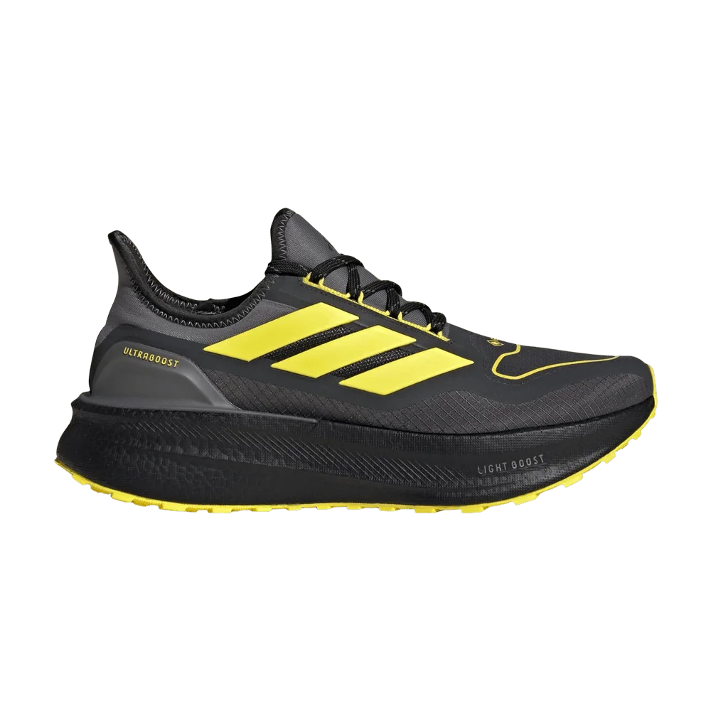 Кроссовки adidas Ultraboost 5 GTX 'Carbon Core Black'