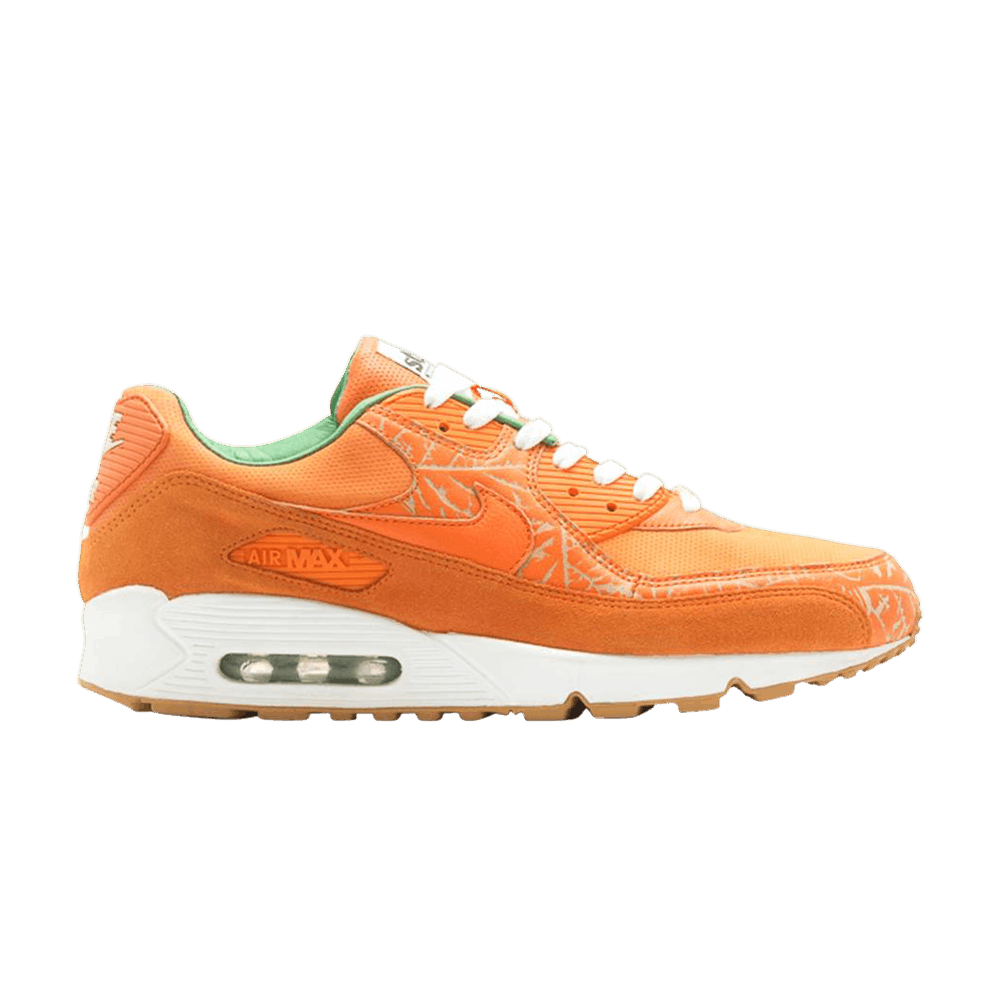 air-max-90-premium-homegrown-state-magazine-bmq486m2c1