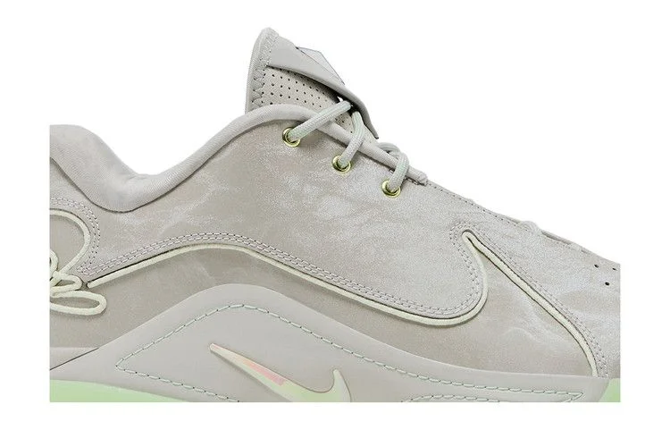 Krossovki-Nike-LeBron-22-Dunkman-1