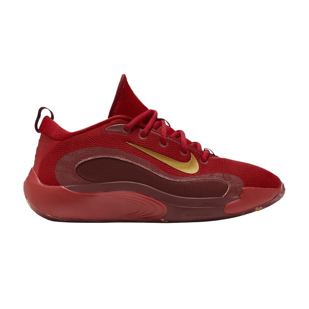 Кроссовки Nike IsoFly GS 'Gym Red Metallic Gold'