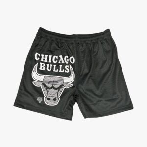 Chicago-Bulls-Apollo-Mesh-Team-Logo-NBA-Shorts-1-300x300