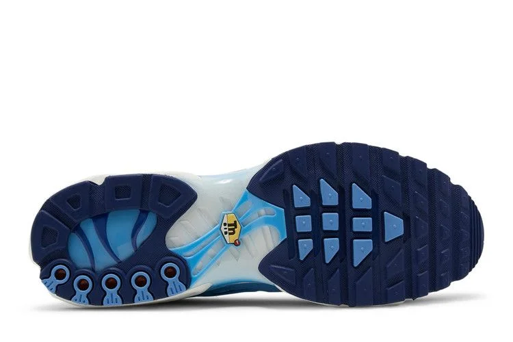 Кроссовки Nike Air Max Plus SE 'First Use - University Blue'