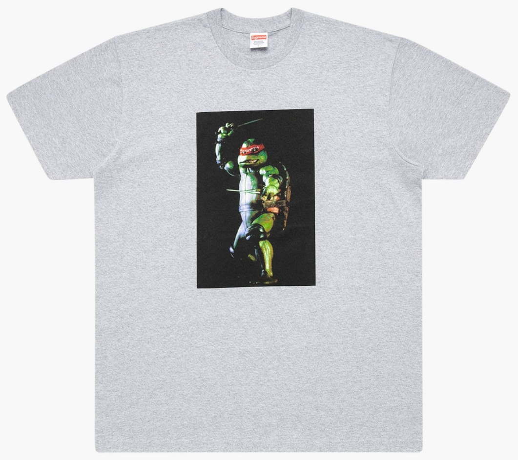 Футболка Supreme Raphael Tee Grey