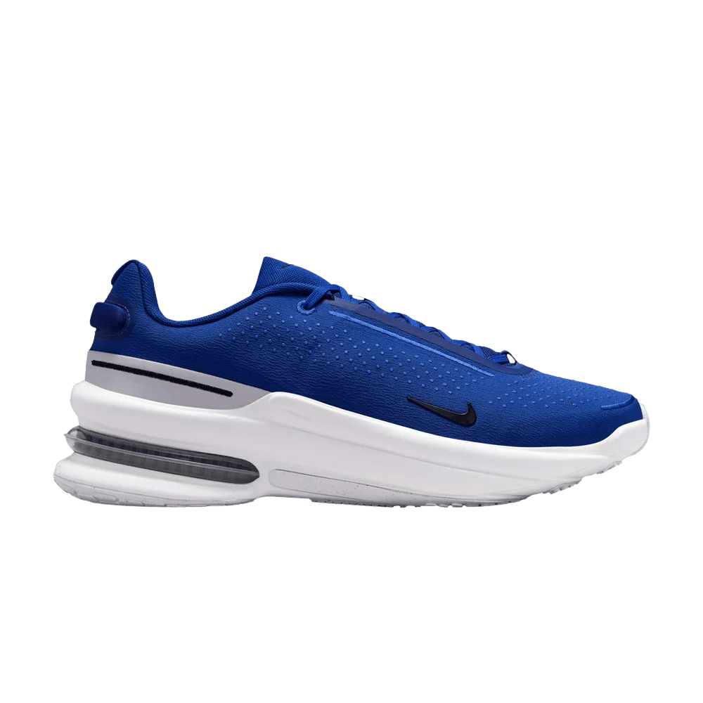 Krossovki-Nike-Air-Zoom-Upturn-SC-Deep-Royal-Blue