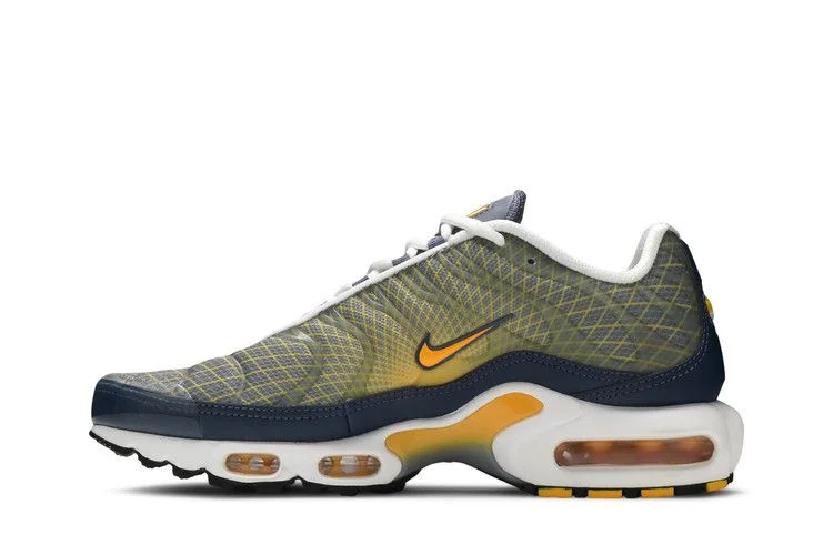 Кроссовки Nike Air Max Plus 'Wave Grid'