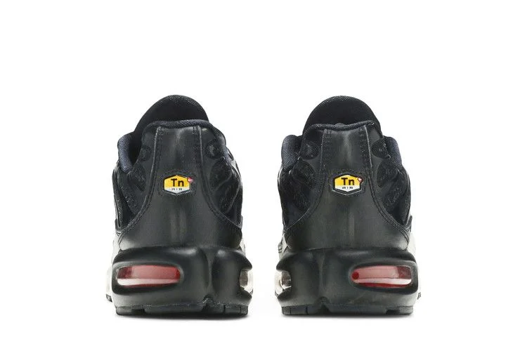 Кроссовки Nike Wmns Air Max Plus TN 'Black Red'
