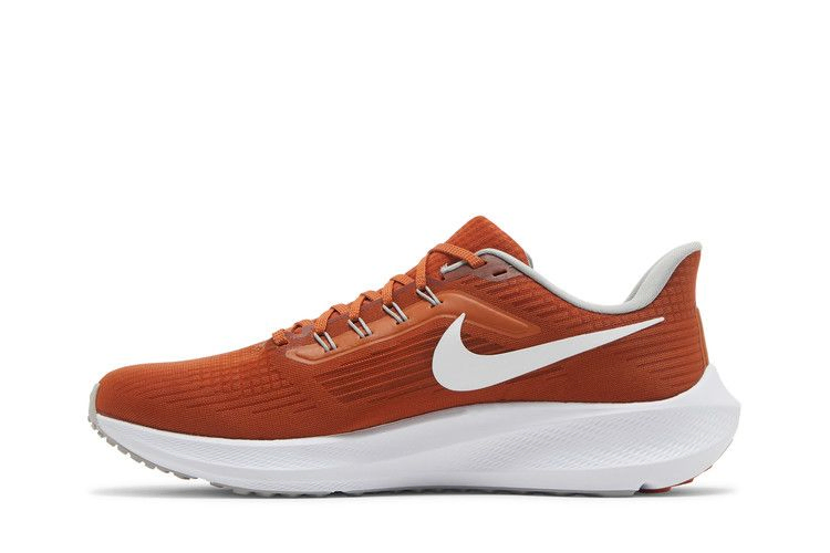 Кроссовки Nike Air Zoom Pegasus 39 'Texas'