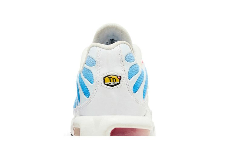 Кроссовки Nike Air Max Plus 'Tide' 2022