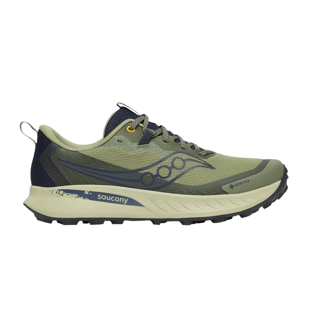 Кроссовки Saucony Peregrine 15 GORE-TEX 'Hemlock Navy'