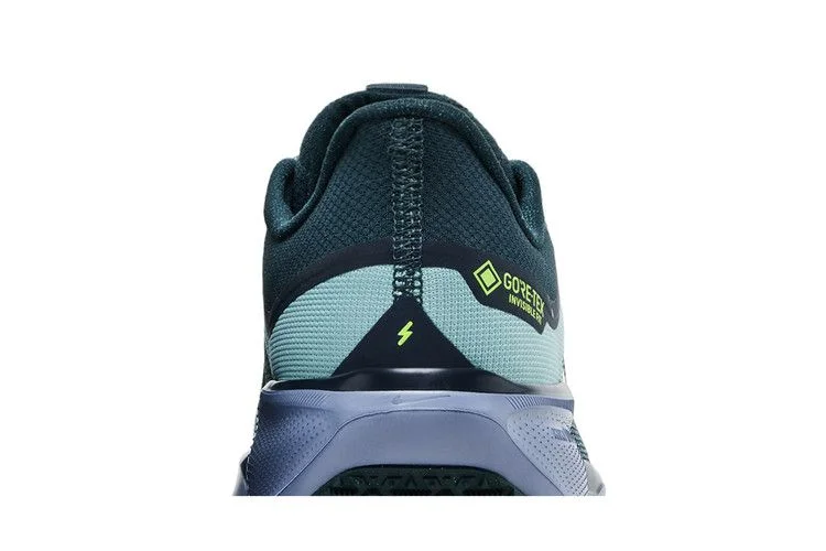 Кроссовки Nike Air Zoom Pegasus 41 GORE-TEX 'Cannon Obsidian'