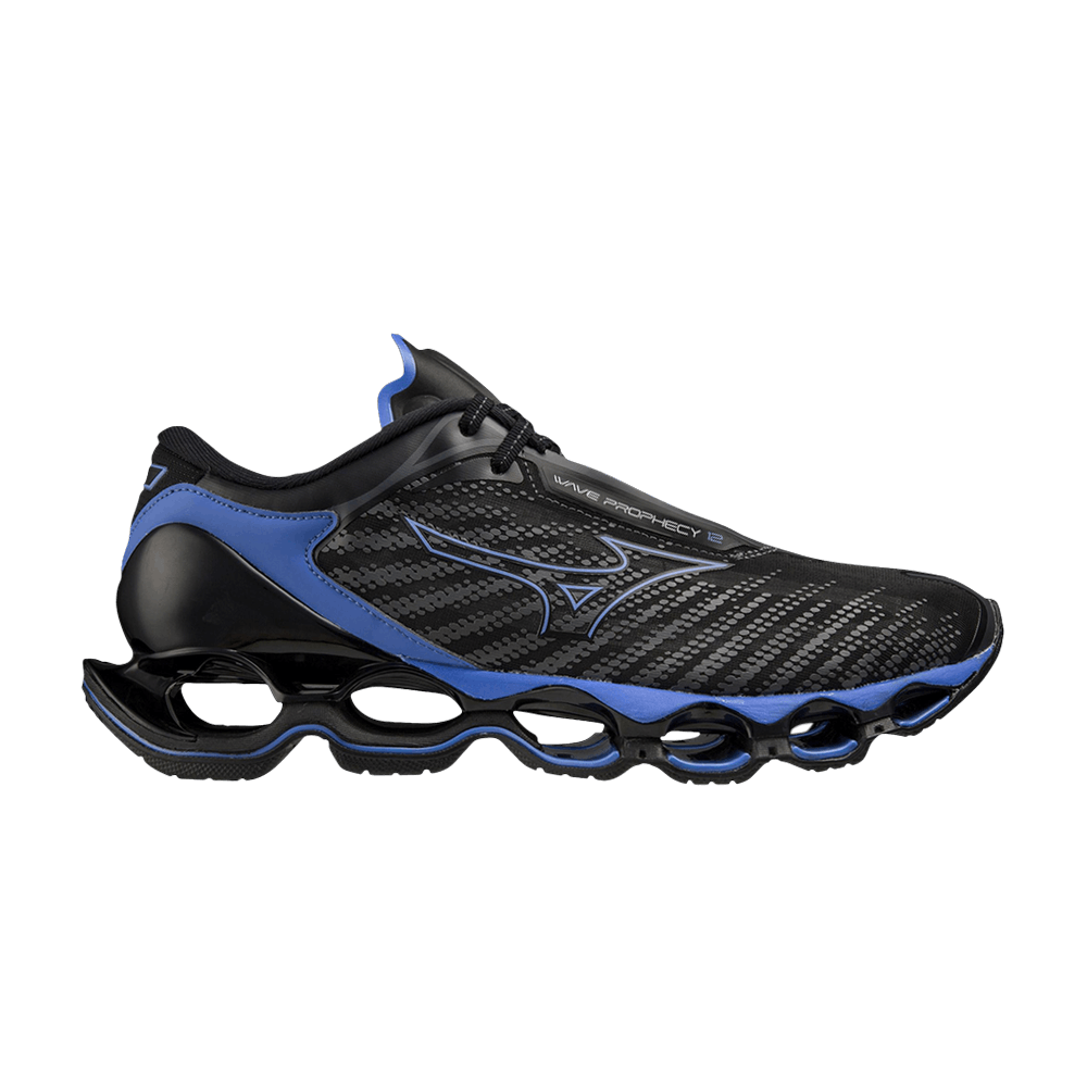 Кроссовки Mizuno Wave Prophecy 12 'Black Oyster Blue Ashes'