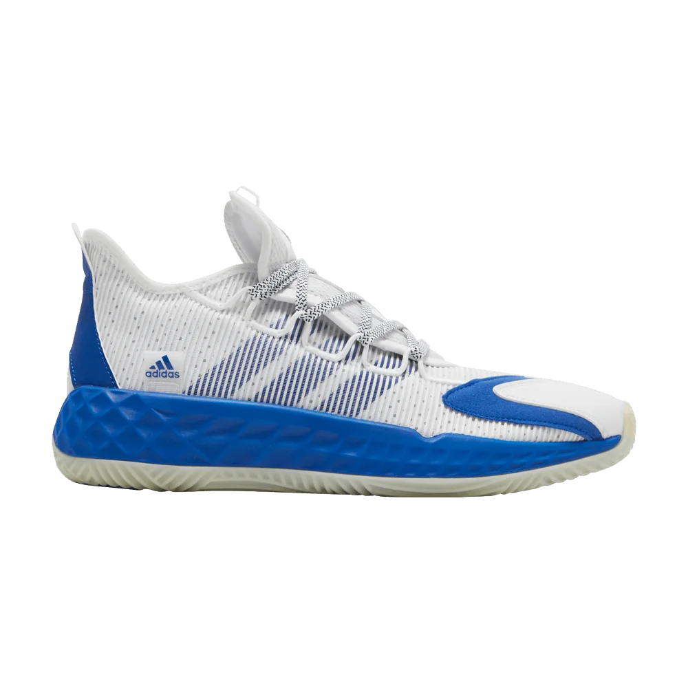 Krossovki-Adidas-Pro-Boost-Low-White-Royal-Blue