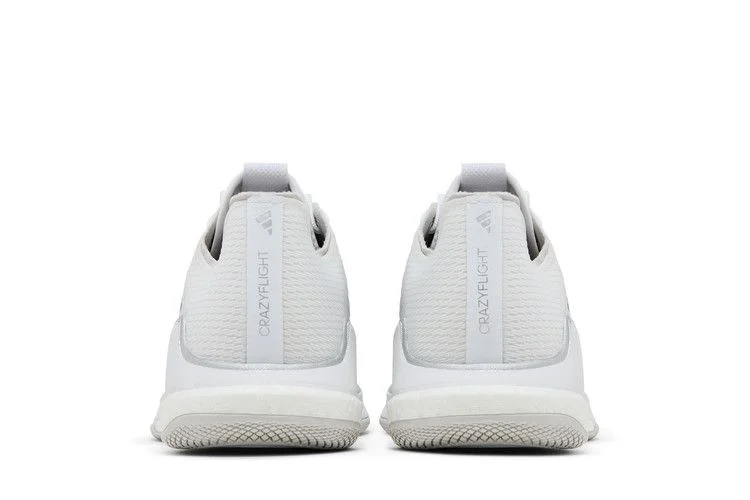 Кроссовки Adidas Wmns Crazyflight 'White Silver Metallic'