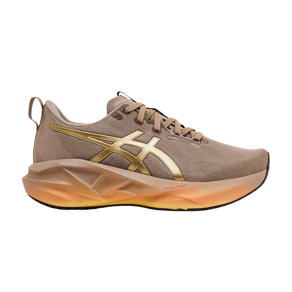 Кроссовки ASICS Wmns Novablast 5 'Luxe'