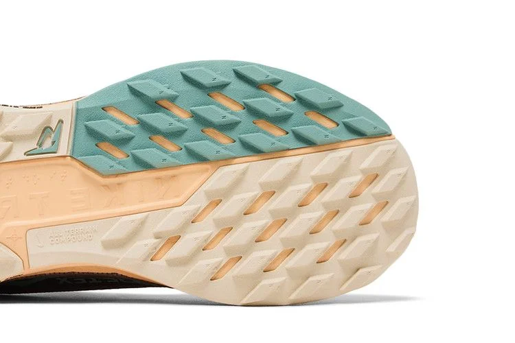 Кроссовки Nike Wmns Pegasus Trail 5 GORE-TEX 'Mink Brown Orange Chalk'