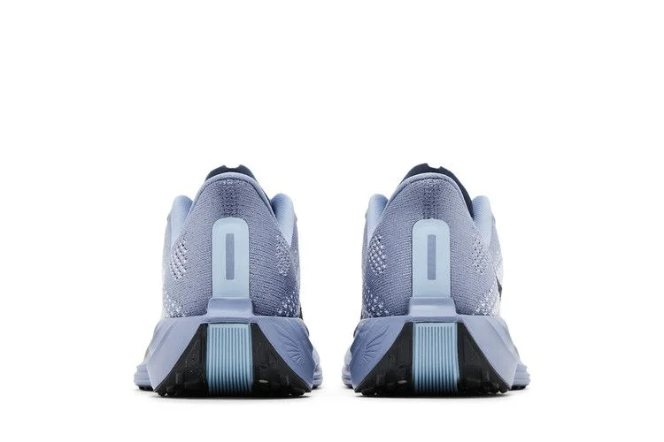 Кроссовки Nike Pegasus Plus 'Ashen Slate'