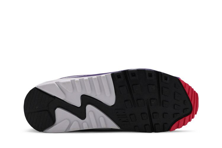 Кроссовки Nike Wmns Air Max 90 Retro 'Eggplant' 2020