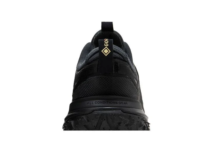 Кроссовки Nike ACG Mountain Fly 2 Low GORE-TEX 'Dark Smoke Grey'