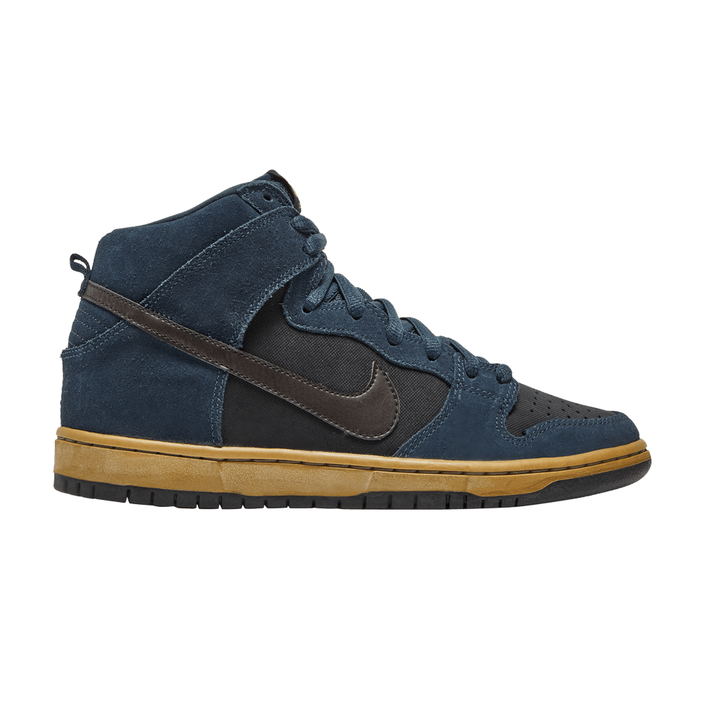 dunk-high-pro-sb-305050-010