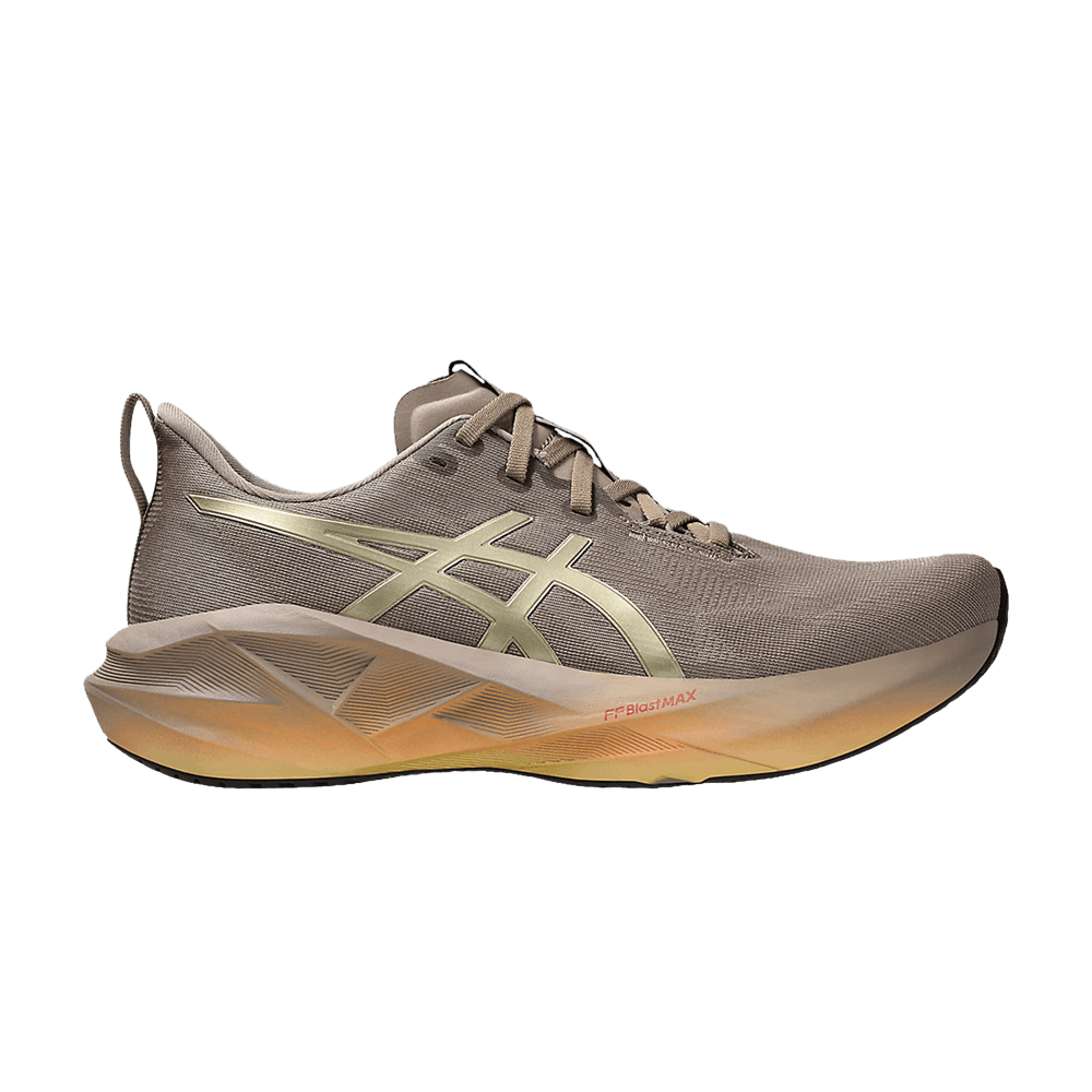 Кроссовки ASICS Novablast 5 'Luxe'