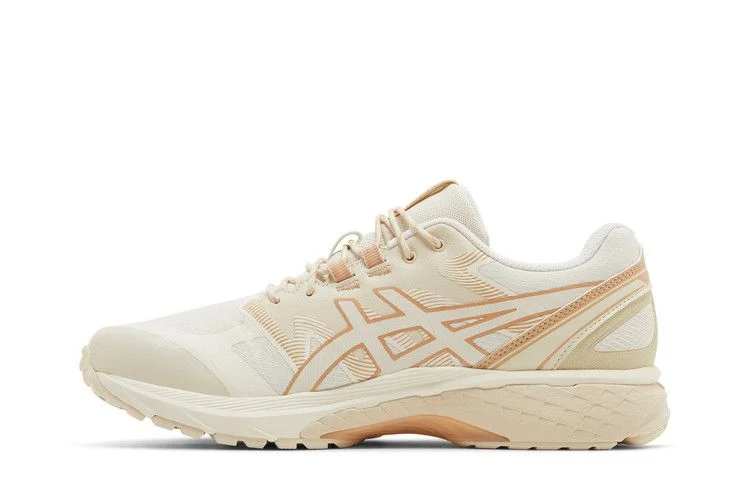 Krossovki-ASICS-Gel-Terrain-Birch-2