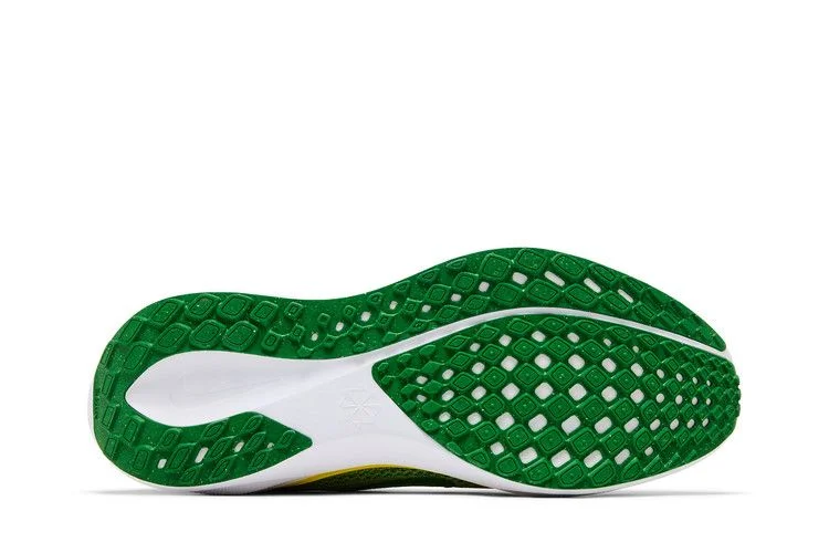 Кроссовки Nike Air Zoom Pegasus 41 'Oregon 2024'