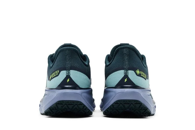 Кроссовки Nike Air Zoom Pegasus 41 GORE-TEX 'Cannon Obsidian'