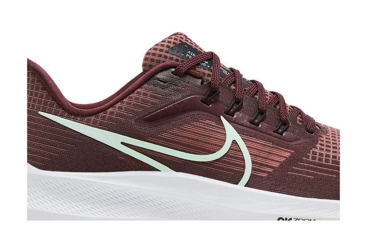 Кроссовки Nike Wmns Air Zoom Pegasus 39 'Canyon Rust'