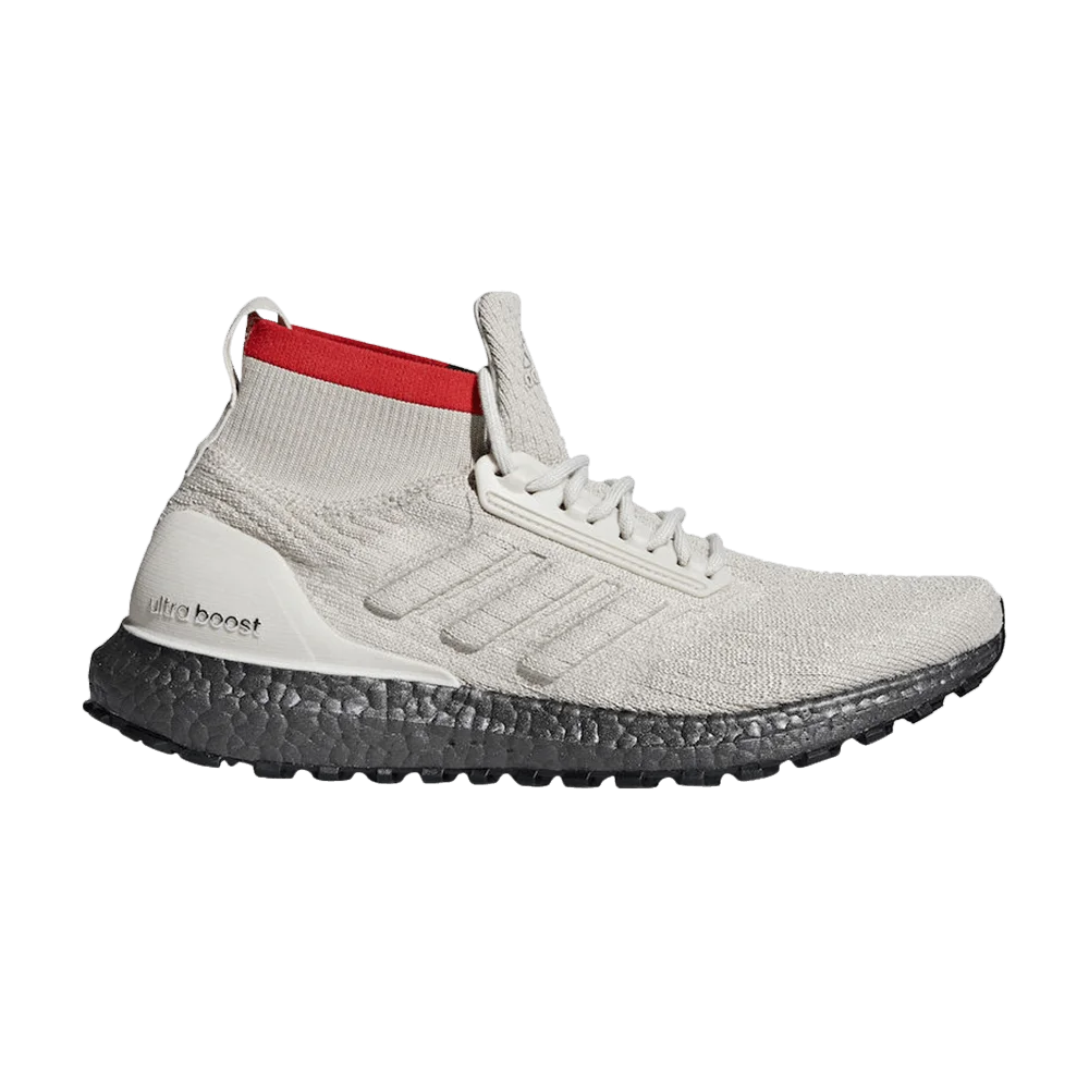 Krossovki-Adidas-UltraBoost-AT-Clear-Brown