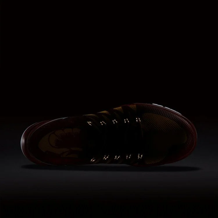 Кроссовки Nike Free Trainer 5.0 V6 AMP 'USC'