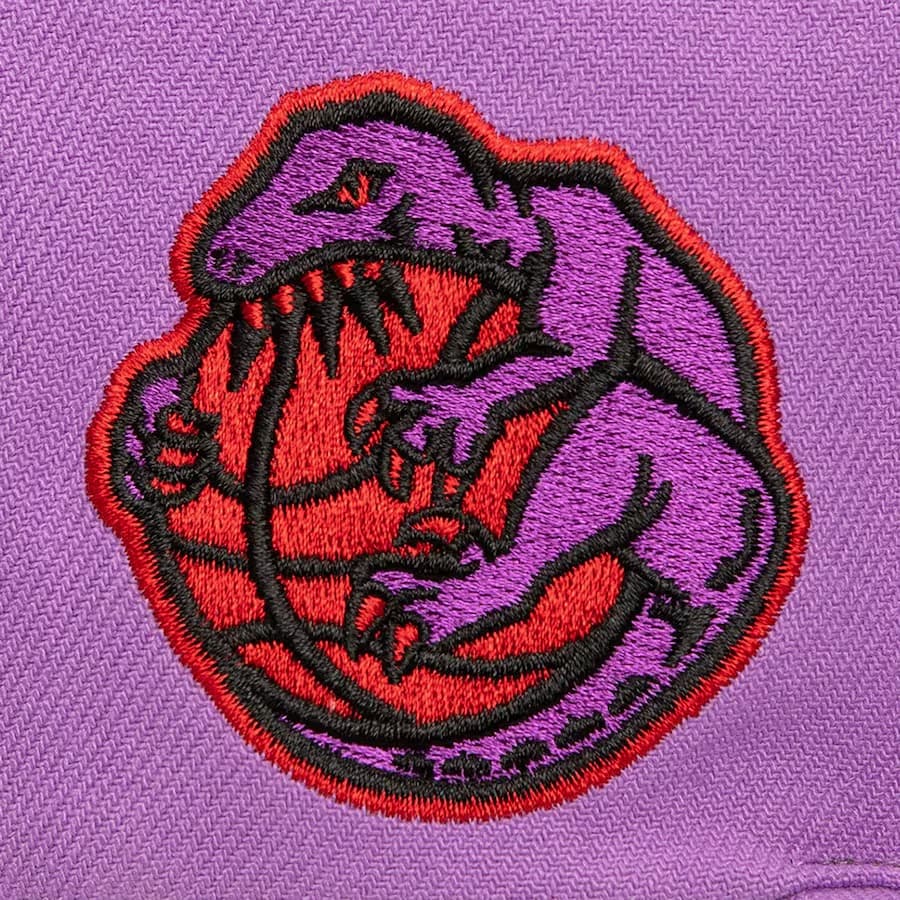 Бейсболка Mitchell & Ness Purple Toronto Raptors Hardwood Classics Logo Eclipse OG Snapback Hat