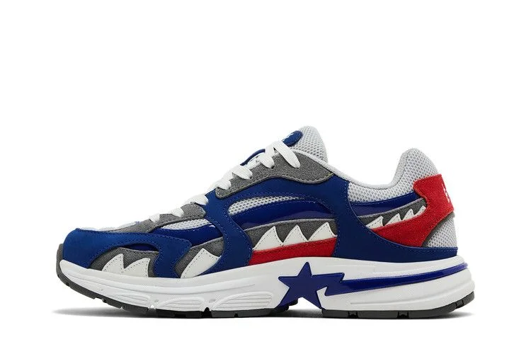 Krossovki-BAPE-Shark-Sta-M1-Country-Pack-Japan-2