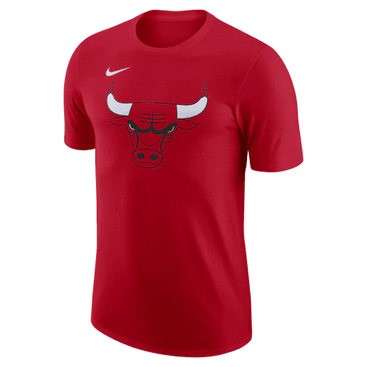 Футболка Nike Chicago Bulls Essential Club Logo T-Shirt