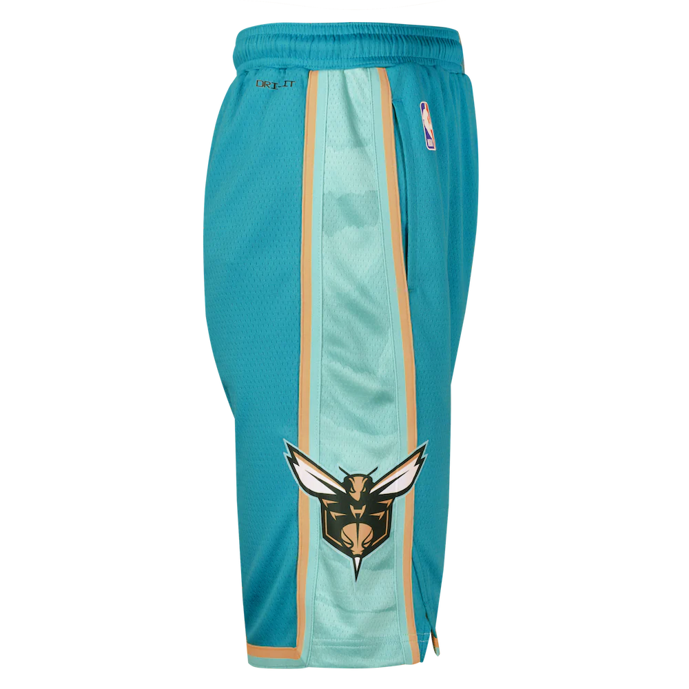 Спортивные шорты Nike Charlotte Hornets 2024 City Edition Swingman Youth NBA Shorts
