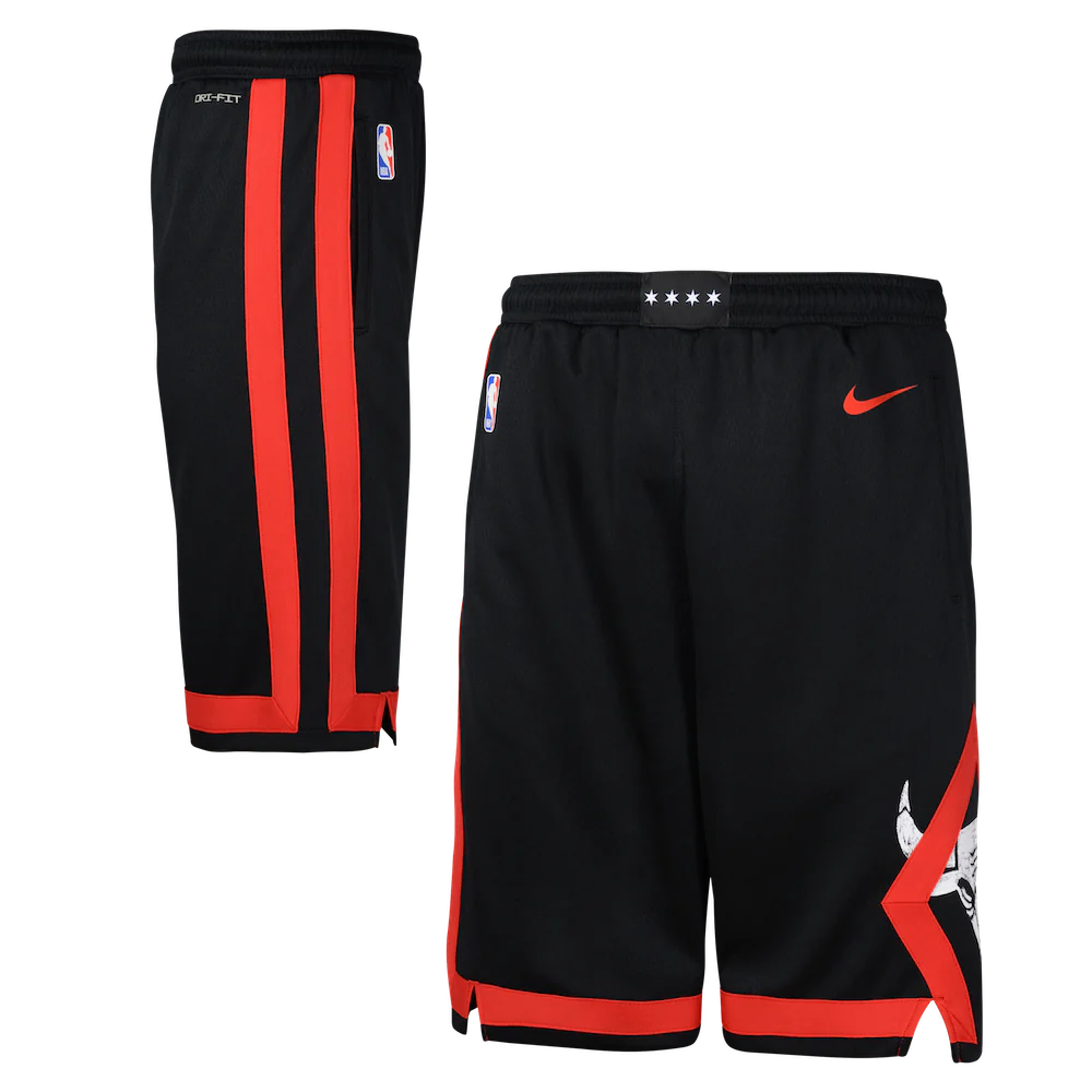 Спортивные шорты Nike Chicago Bulls 2024 City Edition Swingman Youth NBA Shorts