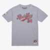 Mitchell-Ness-David-Ortiz-Gray-Boston-Red-Sox-Name-Number-T-Shirt-100x100