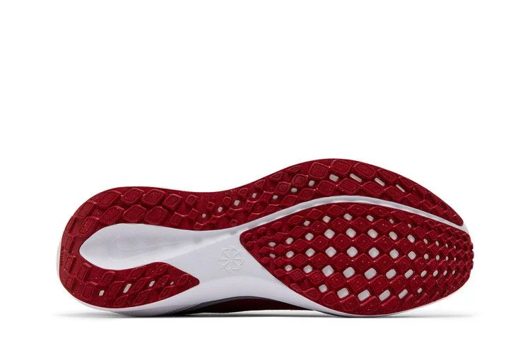 Кроссовки Nike Air Zoom Pegasus 41 'Ohio State'