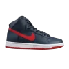 dunk-high-pro-sb-305050-463-100x100