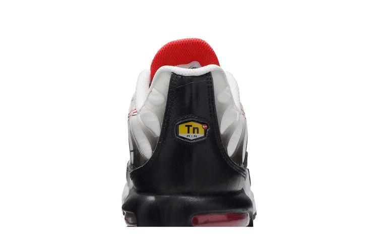 Кроссовки Nike Air Max Plus 'Script Swoosh'