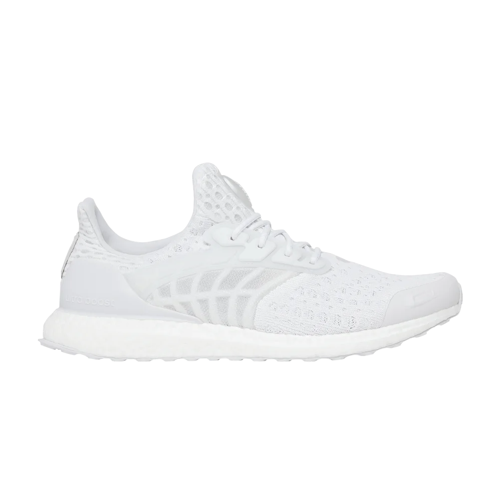 Krossovki-adidas-UltraBoost-Climacool-2-DNA-Flow-Pack-White-Dash-Grey