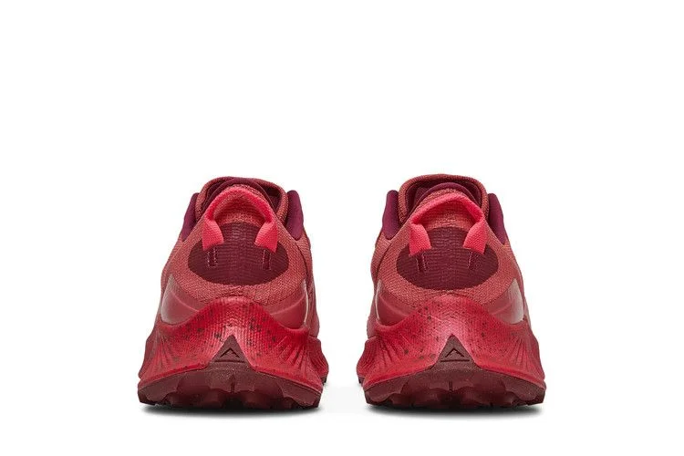 Кроссовки Nike Wmns Pegasus Trail 3 'Gypsy Rose'