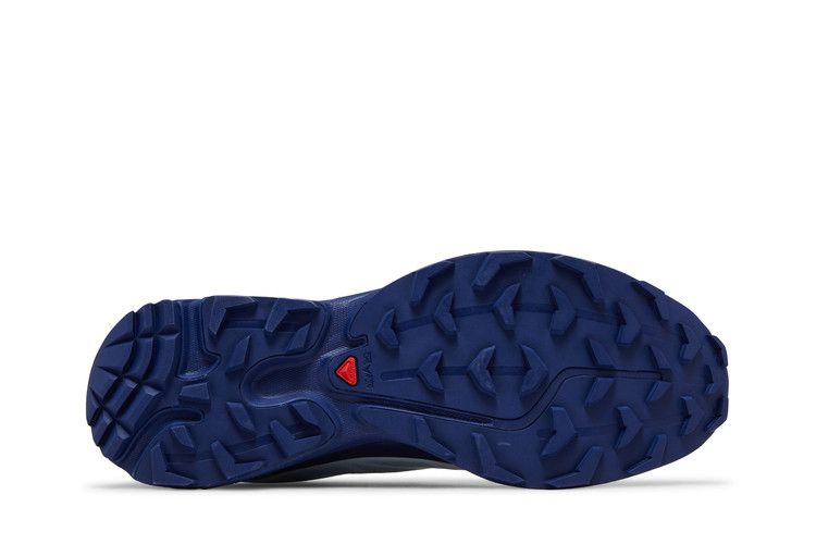 Кроссовки Salomon XT-6 GORE-TEX 'Heather Blue Print'