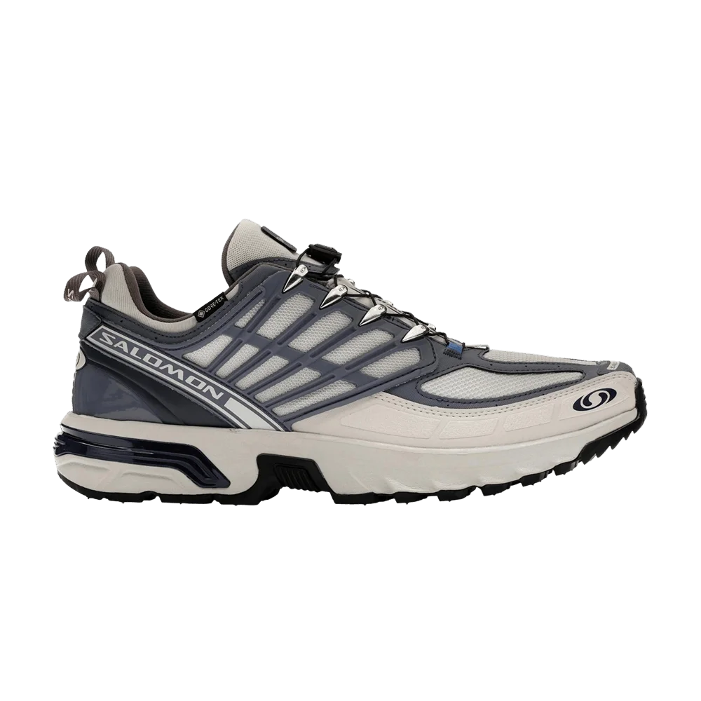 Krossovki-Salomon-ACS-Pro-GORE-TEX-Lunar-Rock-Grisaille