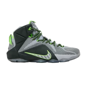 lebron-12-dunkman-684593-001-300x300