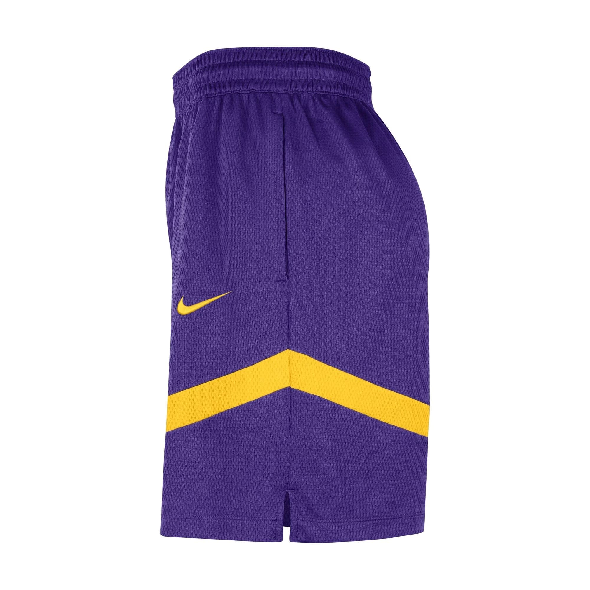 Спортивные шорты Nike Los Angeles Lakers Practice NBA Shorts