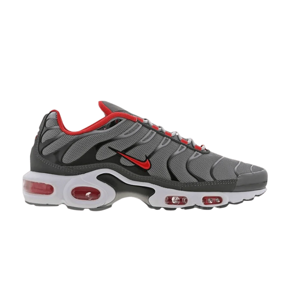Кроссовки Nike Air Max Plus 'Particle Grey'